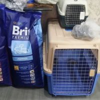 Jet Box Small-Medium Cats & Dogs