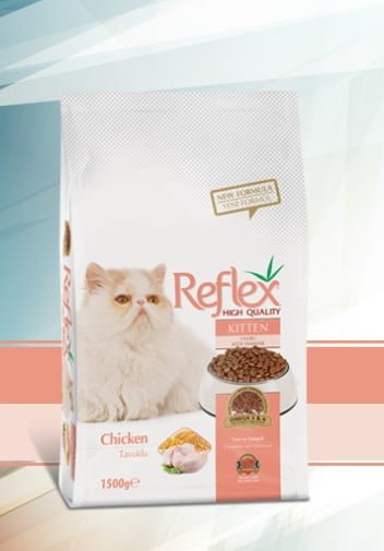 reflex kitten chicken