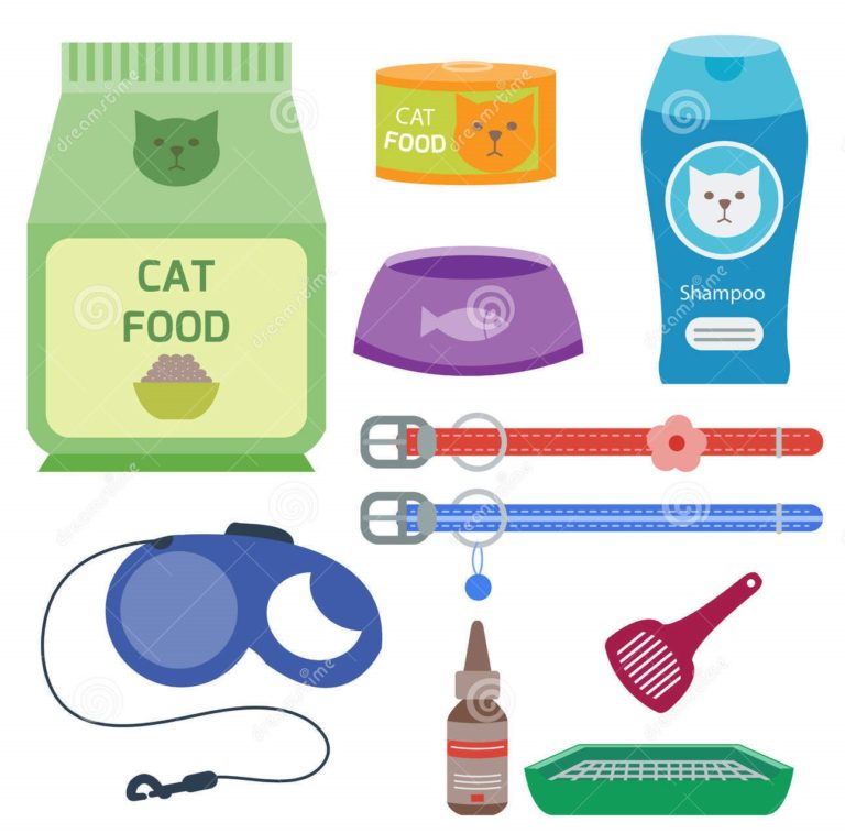 Reem Pet Store Buy Pet Supplies Online in Pakistan