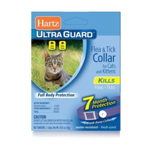 Flea & Tick