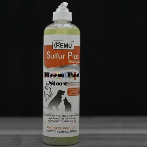 show me a sheepadoodle