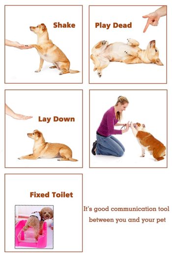Dog Training Clicker - Reem Pet Store
