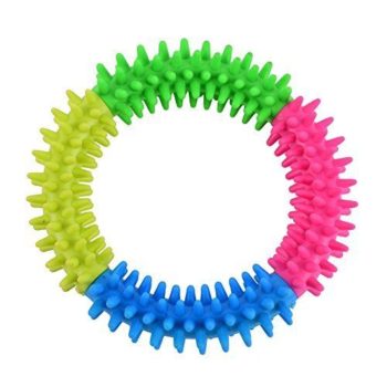 Dog Teether with Spikes