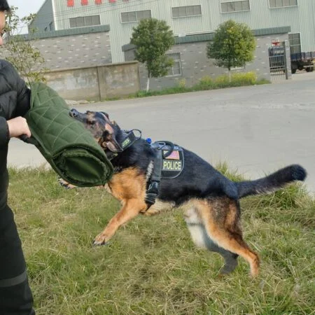 Dog Bite Sleeve Training