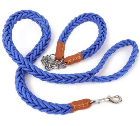 Large Dog Nylon Leash with Adjustable Collar