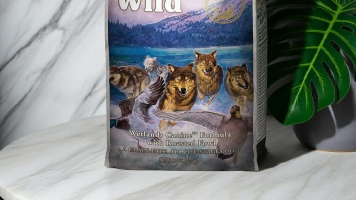 Wild Dog Best Tasting Dog Food 2019 TASTE OF THE WILD Ancient