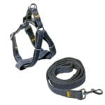 Denim harness Dogs