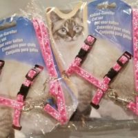 Harness for cat , kitten and puppies