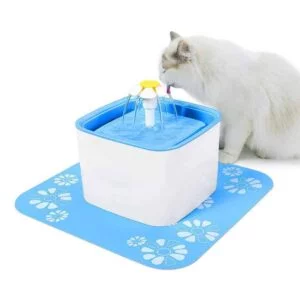 drinking fountain cat dogs