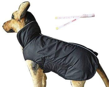 wind proof dog jacket