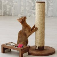 Scratching Post for cats- Reem Pet Store