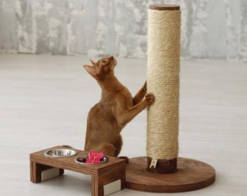 Scratching Post for cats- Reem Pet Store