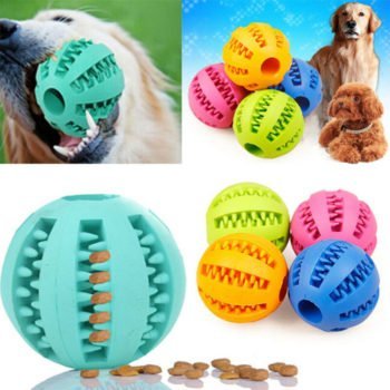 Doggy Treat Play Ball- Reem Pet Store