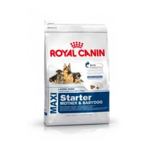 Royal Canin Maxi Starter Mother Baby Dog Reem Pet Store