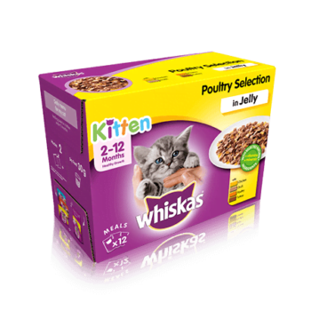 Whiskas Kitten - Reem Pet Store