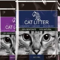 Tiger Cat eyes Litter- Reem Pet Store