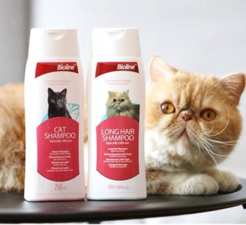 Bioline Long Hair Cat Shampoo