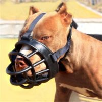 Dog Muzzle - Reem Pet Store