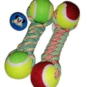 dog toy