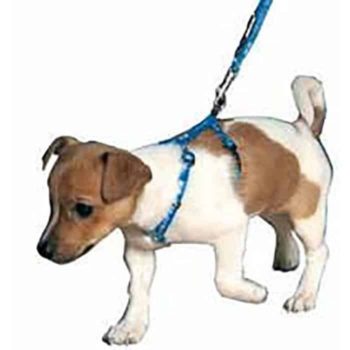 Puppy Harness & Lead - Reem Pet Store