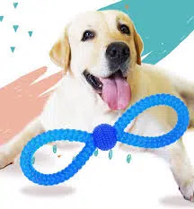 Playing rubber bone - Reem Pet Store