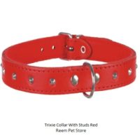 Trixie collar with studs- Reem Pet Store