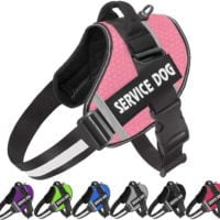Service dog harness - Reem Pet Store