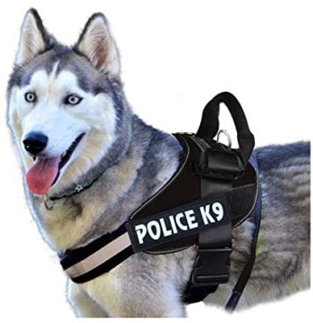 Dog Harness XXL- Reem Pet Store