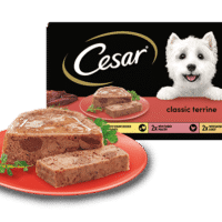 Cesar - Reem Pet Store