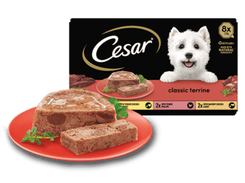 Cesar - Reem Pet Store