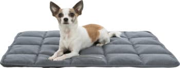 Triixe lying mat- Reem Pet Store
