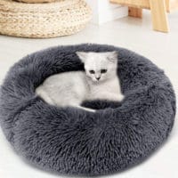 Cat Round Bed - Reem Pet Store