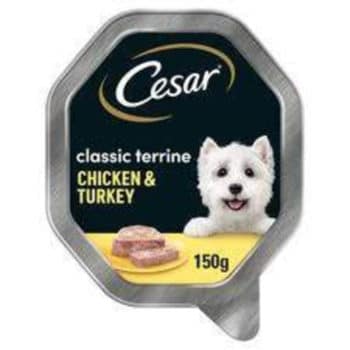 Cesar chicken and turkey wet dog food tray 150 g-Reem Pet Store