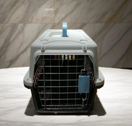 Jet Box for Pets in Pakistan – IATA approved pet travel carrier available at Reem Pet Store.