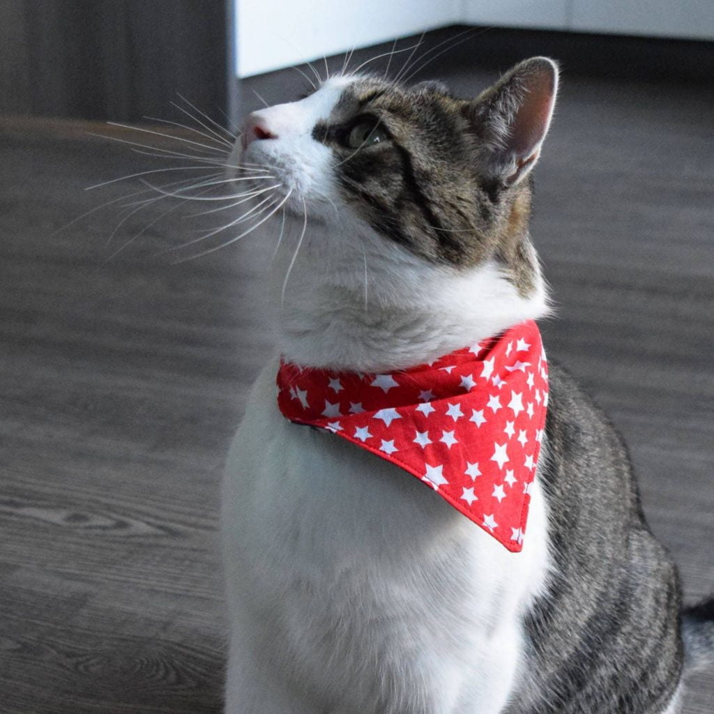 Cat & Dog Handkerchief - Reem Pet Store