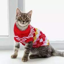 cat sweater- Reem Pet Store