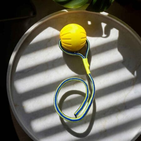 Playing Toy Ball Pets