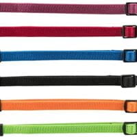 Trixie Puppy Collars- Reem Pet Store