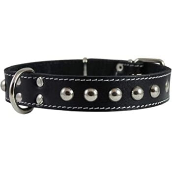 Trixie Leather studded collar- Reem Pet Store