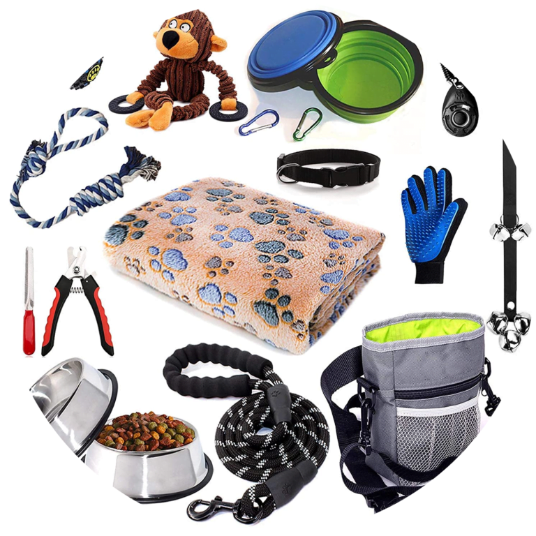 Reem Pet Store Buy Pet Supplies Online in Pakistan