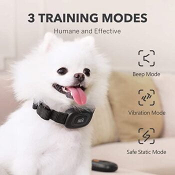 Training Modes. Reem Pet Store