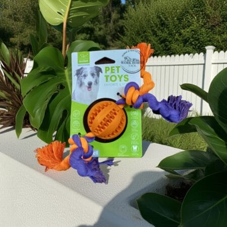 NB-Treat-Toy-Dogs-Reem-Pet-Store