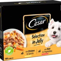 Cesar Dog Food Jelly with Tender Chicken