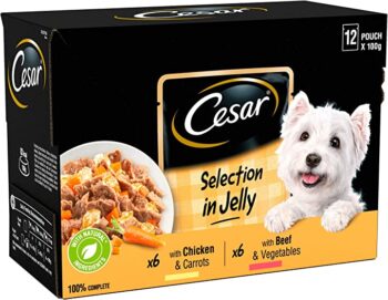 Cesar Dog Food Jelly with Tender Chicken