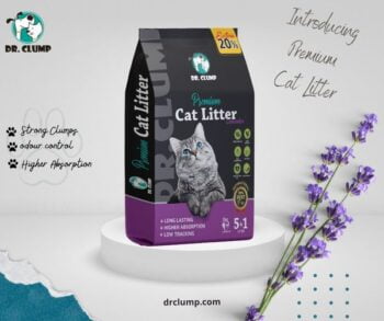 Dr Clump Cat Litter - Get extra one litter in price of 5 liter