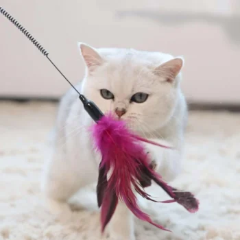 Playing Stick for Cat With Spring- Reem Pet Store