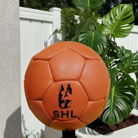 Murphy-Dog-Foot-Ball