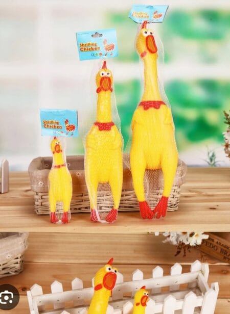 Squeaky Chicken Toy