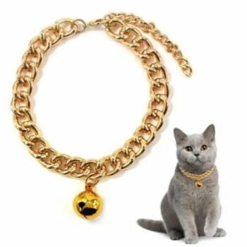 Gold Coated Chain For Cats and Kittens- Reem Pet Store