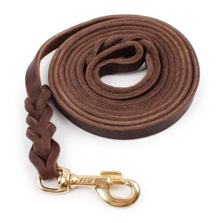 loyal Dog Leather Leash- Reem Pet Store